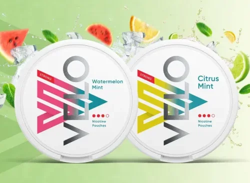 Harnessing the Chill of Siberia with Nicotine Pouches for a Refreshing Experience