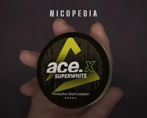 Zesty Moments Await Understanding Zyn Spearmint Nicotine Pouches